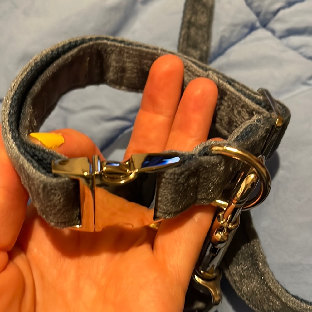 Dog bow tie, collar and leash. Dusty blue velvet, collar size small, leash 6 ft